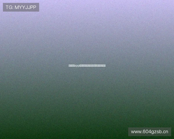 鲨鱼搜索app下载官网全新版本上线快速搜索便捷体验